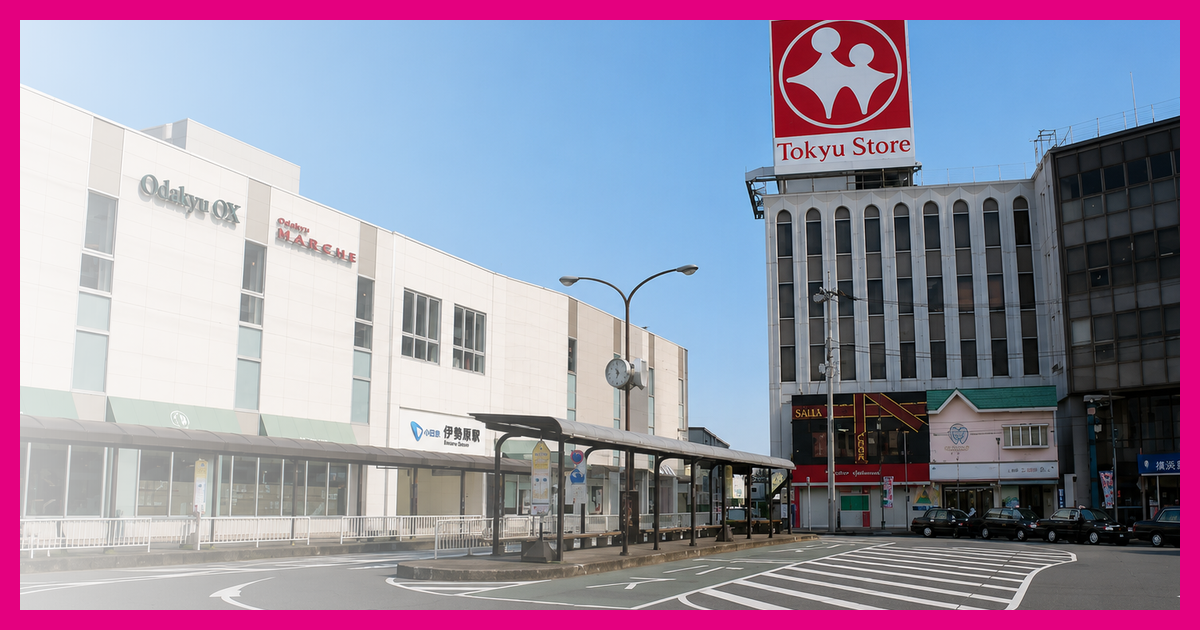 伊勢原駅 まとめ