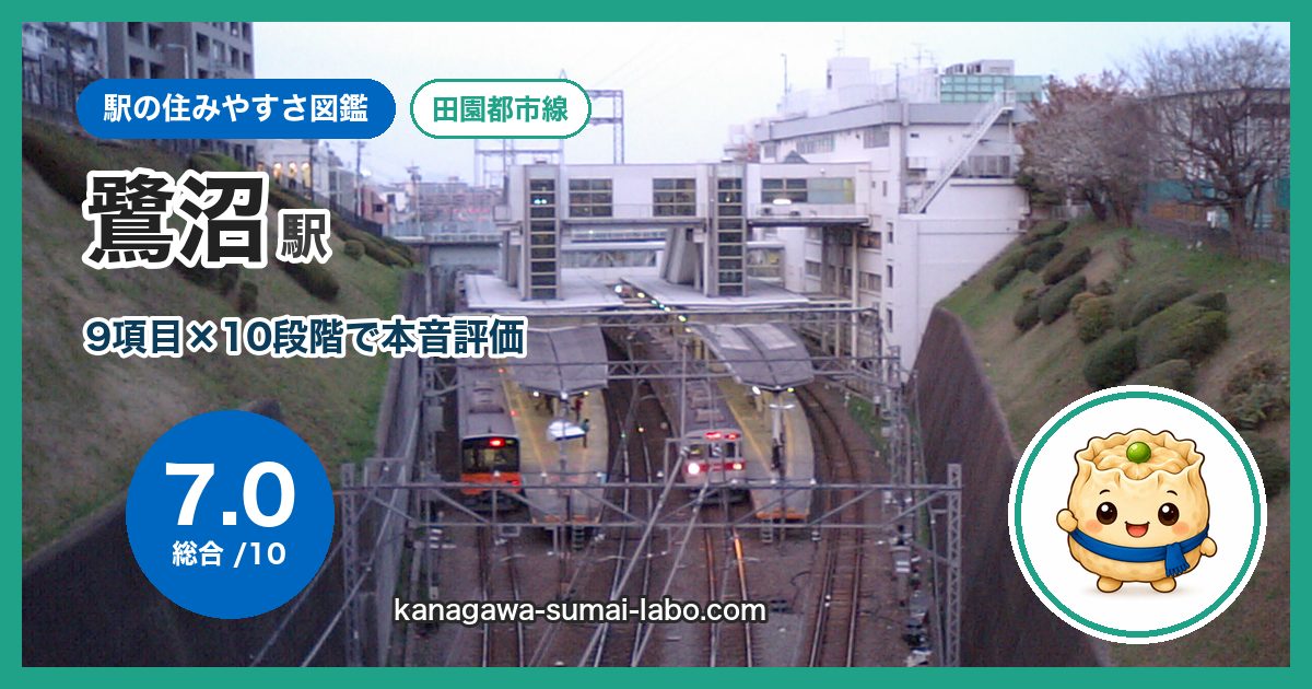 saginuma駅の住みやすさ