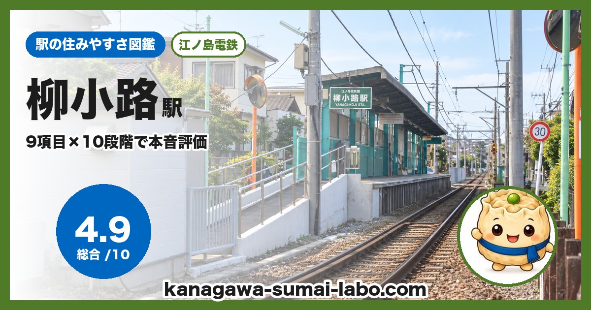 柳小路駅の住みやすさ